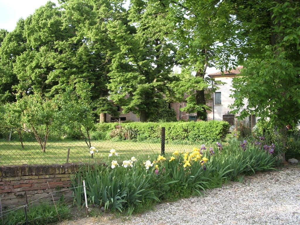 Agriturismo Antica Corte Cason Ronco allʼAdige Екстериор снимка
